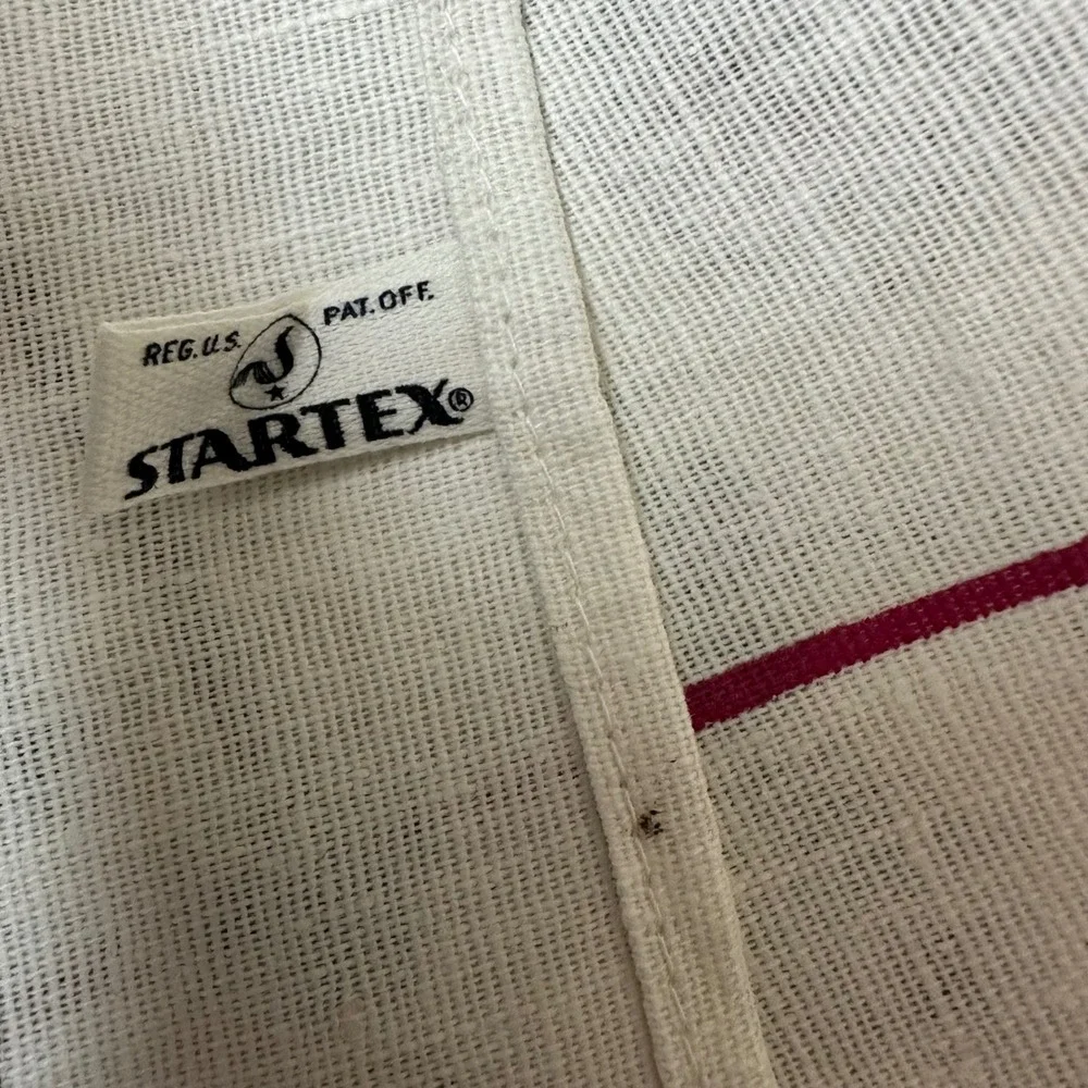 Vintage Startex Wonder-Dri Kitchen Tea Towel Mid-Century Fruit Wine Teal 29x16